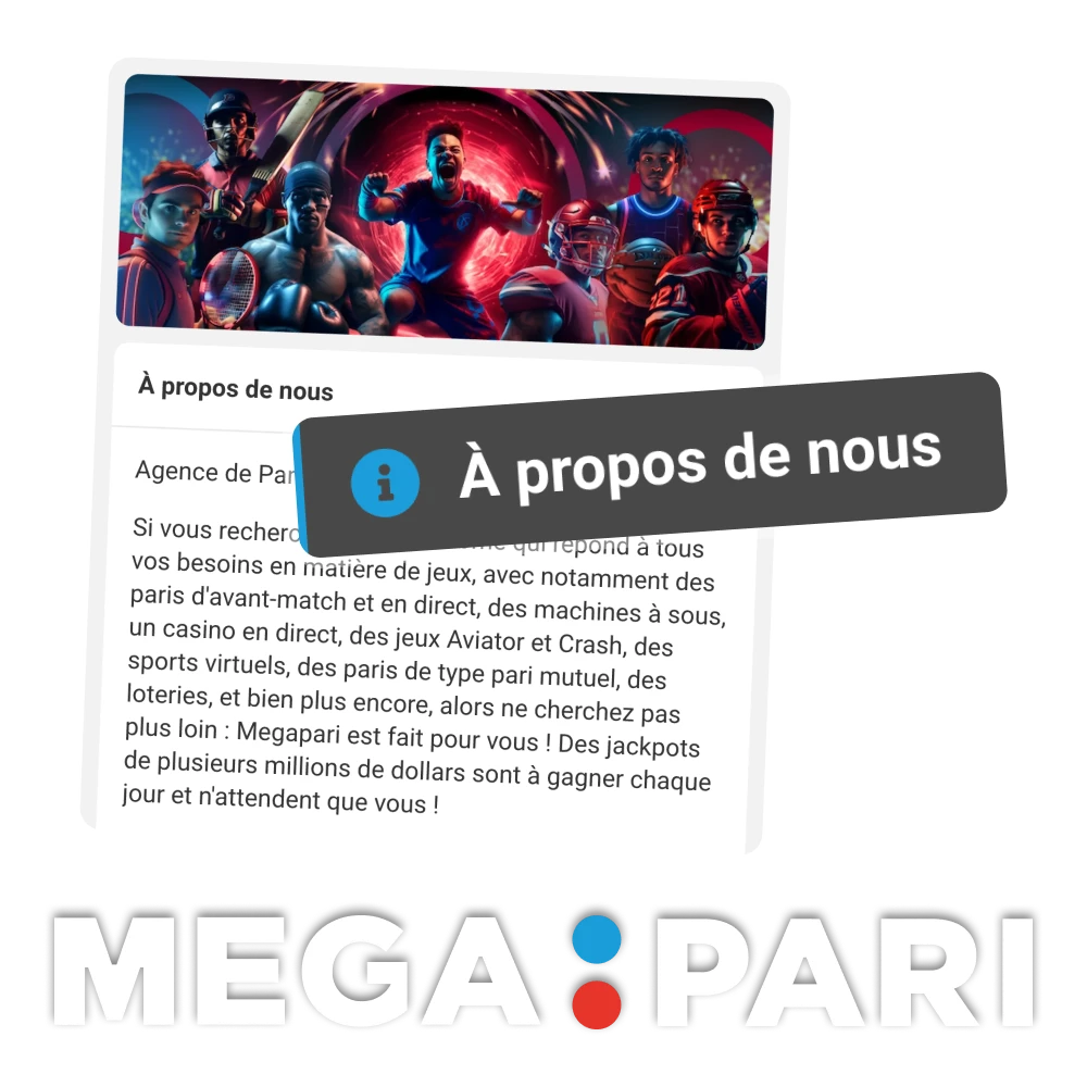 En savoir plus sur la plateforme en ligne Megapari.