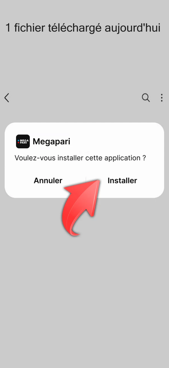 Suivez les instructions pour installer Megapari APK.