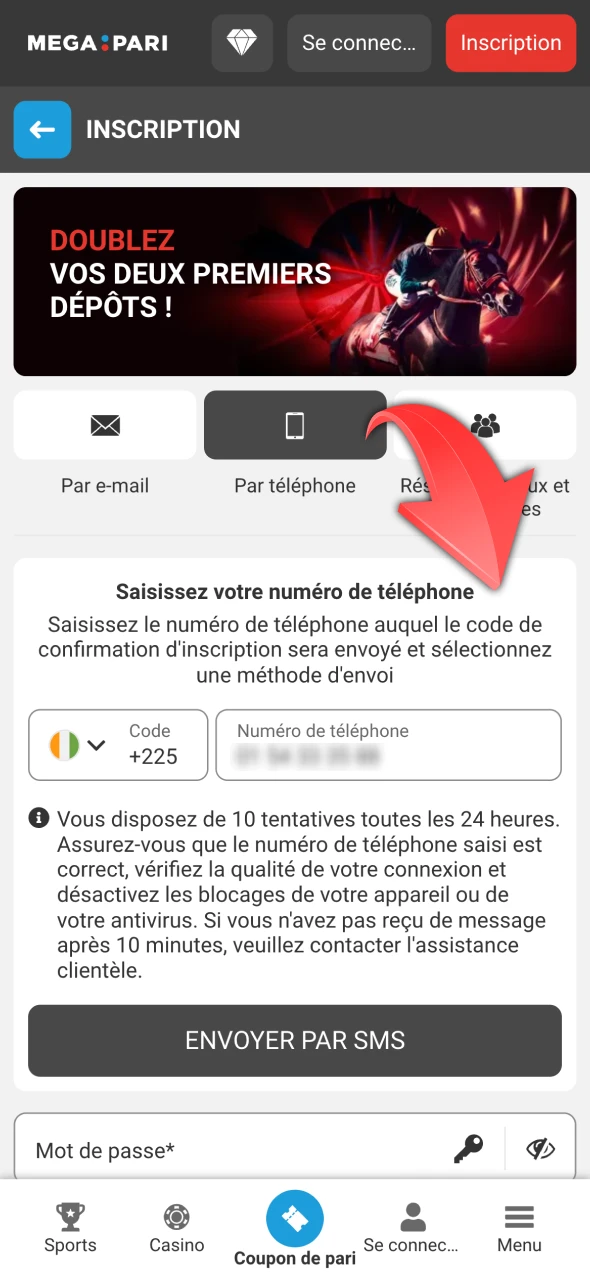 Entrez les informations nécessaires sur Megapari.