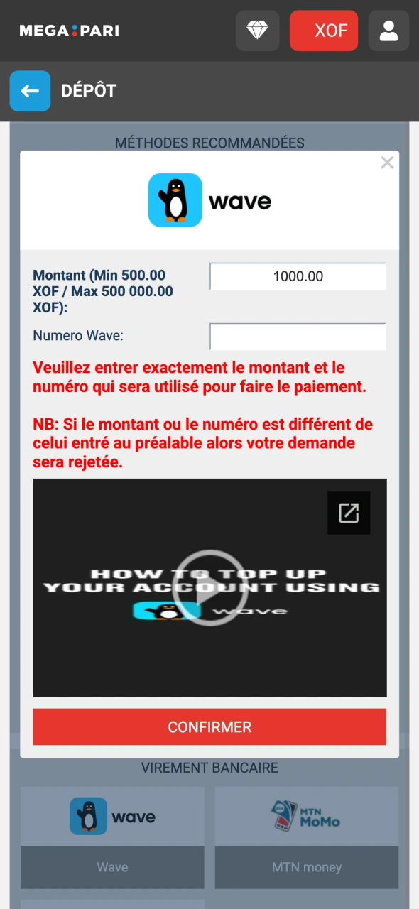 Entrez le montant du dépôt sur le compte Megapari.