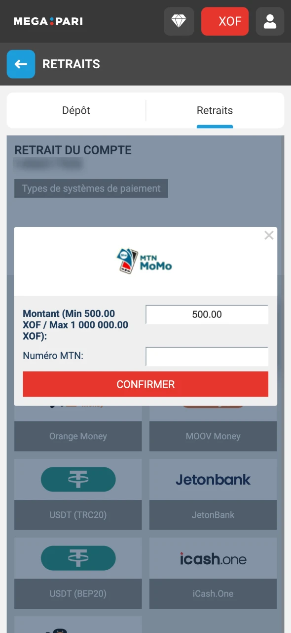 Sélectionnez l'une des méthodes de retrait Megapari disponibles.