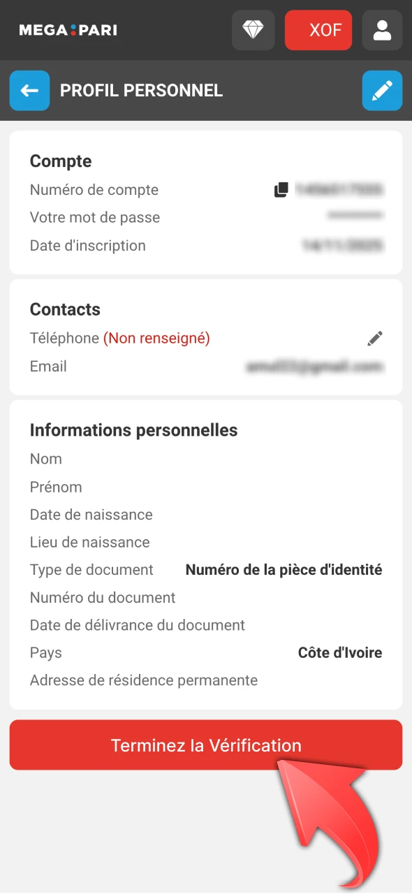 Effectuez la vérification sur le site Web Megapari.