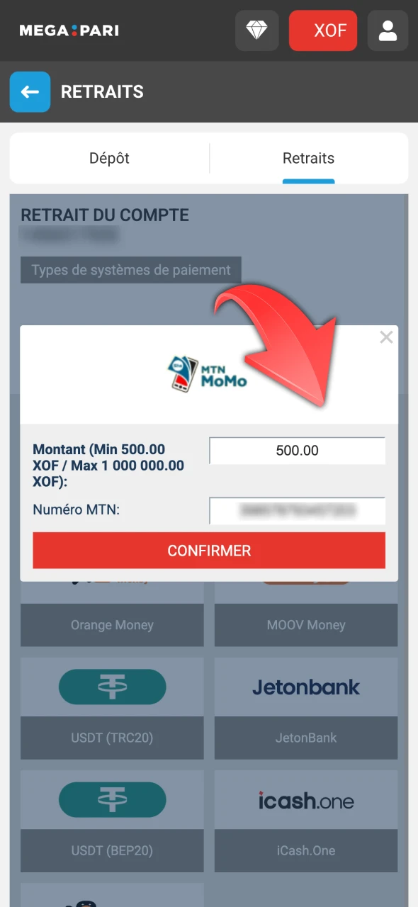 Fournissez les informations requises pour le retrait sur Megapari.