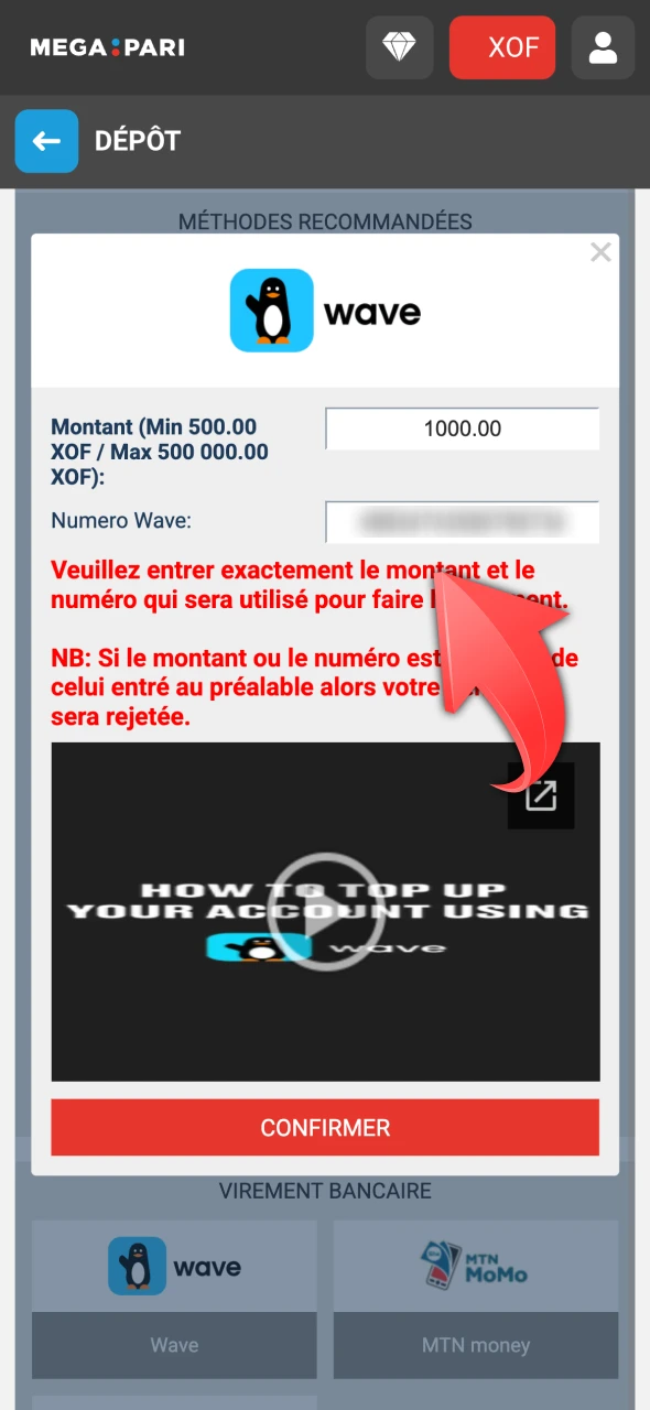 Entrez les informations requises pour votre mode de paiement Megapari.